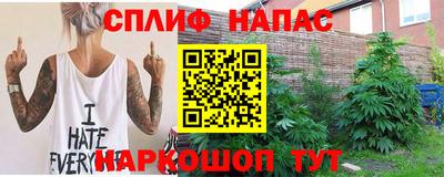сатива Краснодар