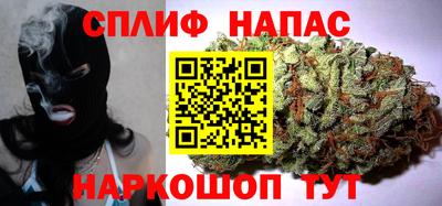 сатива Краснодар