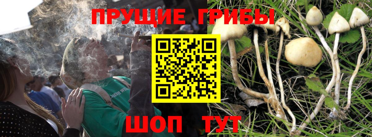 магазин продажи   Псилоцибиновые грибы Magic Shrooms  Вход с VPN  Канаш  Галлюциногенные грибы мухоморы 