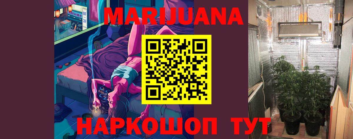 Шишки марихуана ГИДРОПОН  Вход с VPN  Канабис планчик  Канаш  Конопля конопля 
